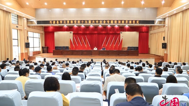 心理咨询师培训费用，揭秘背后的价值与考量